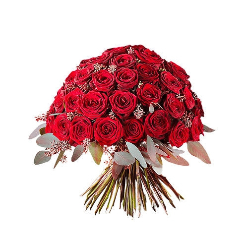 RED ROSE DREAM