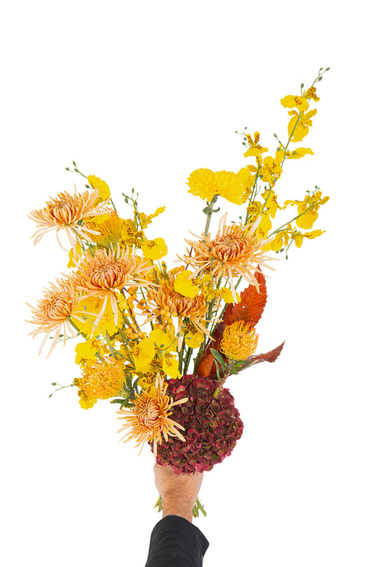HERBSTLEUCHTEN