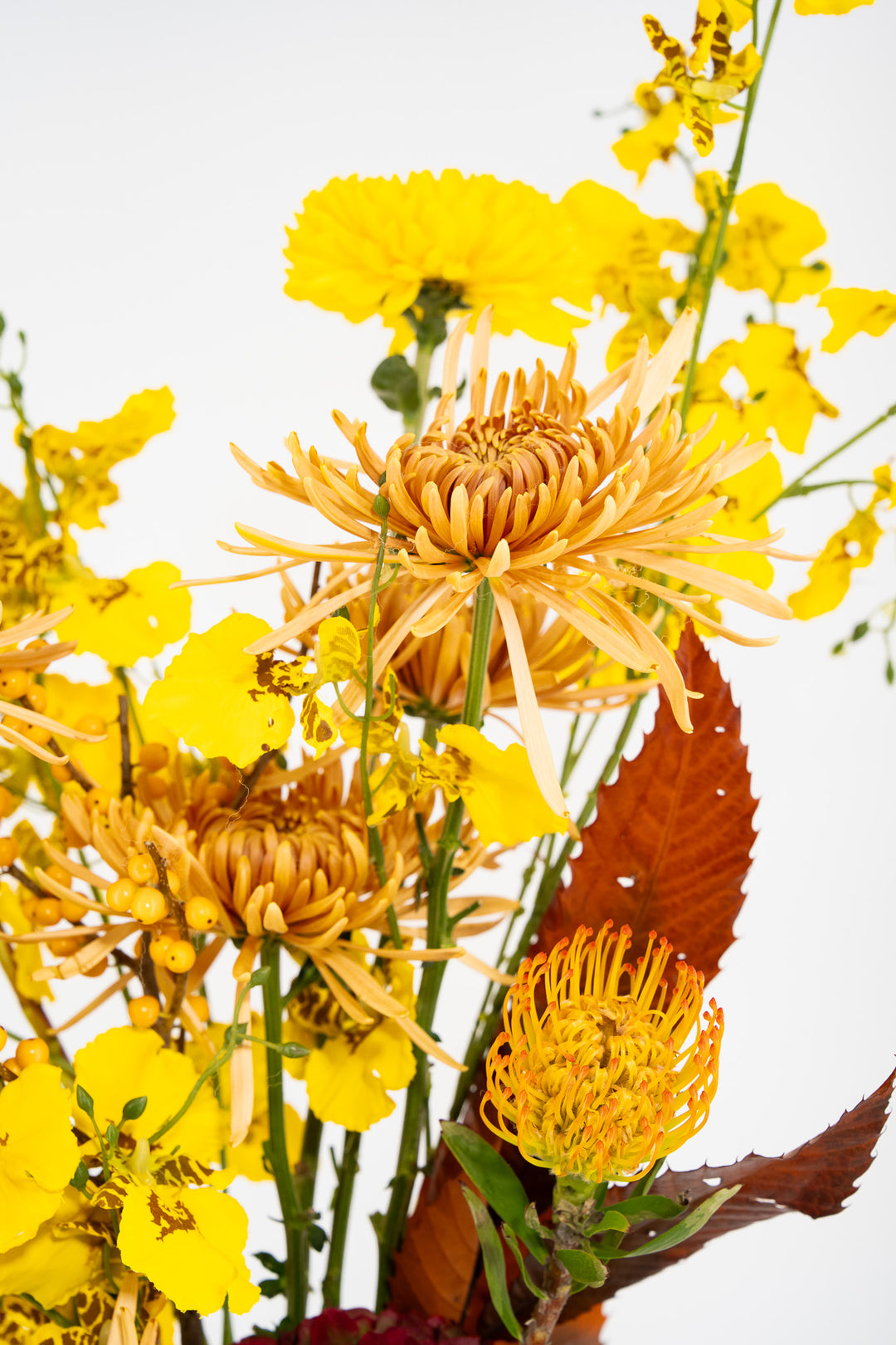 HERBSTLEUCHTEN