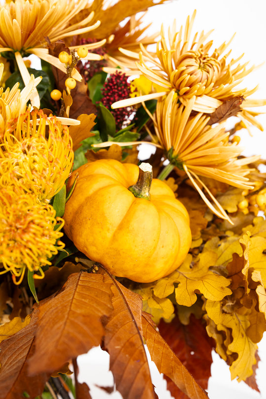 PUMPKIN LOVE