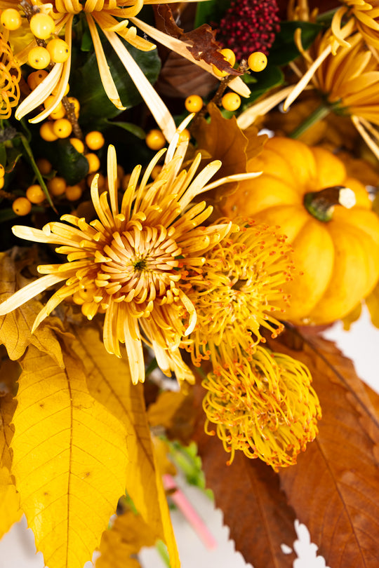 PUMPKIN LOVE