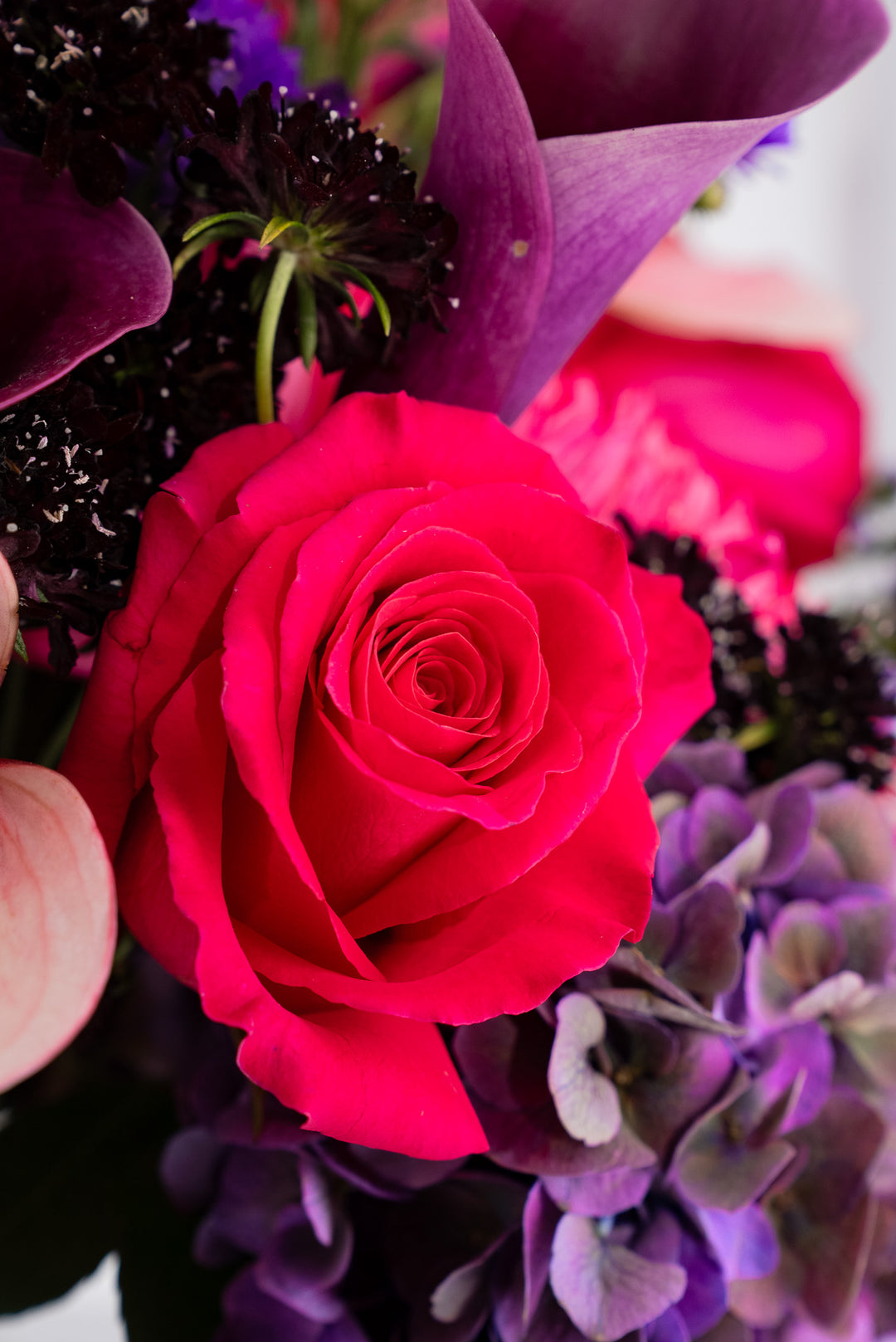 PINK PARADISE
