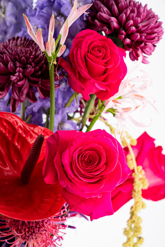 VELVET ROMANCE