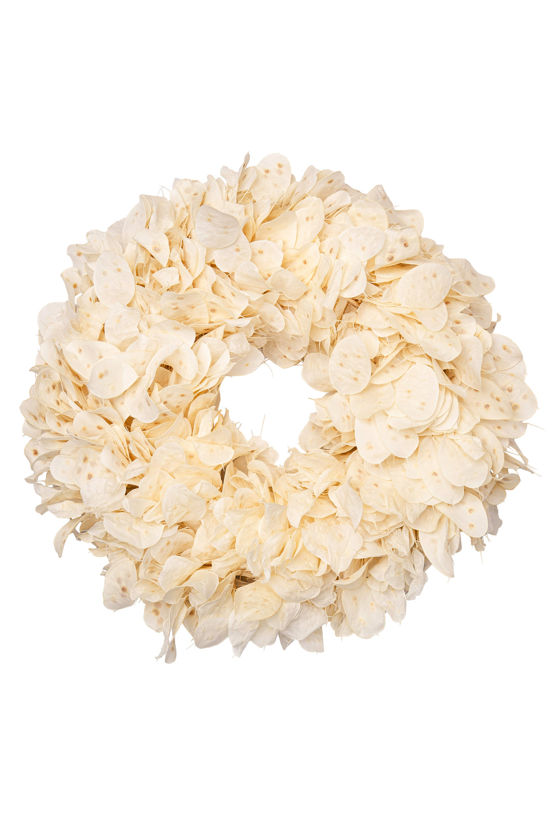 Dieser Türkranz aus Lunaria, dem Fruchtstand des Silberblatts, in zartem Creme verleiht Ihrem Zuhause eine edle Atmosphäre. Sorgfältig handgebunden und mit gleichmäßiger Rundung, ist er die perfekte Dekoration für Tür oder Tisch. Seine natürlichen Farbtöne schaffen ein zartes Herbstambiente, das Gäste begeistert und lange Bestand hat. Ideal für alle, die stilvolle und langlebige Herbstdeko schätzen.