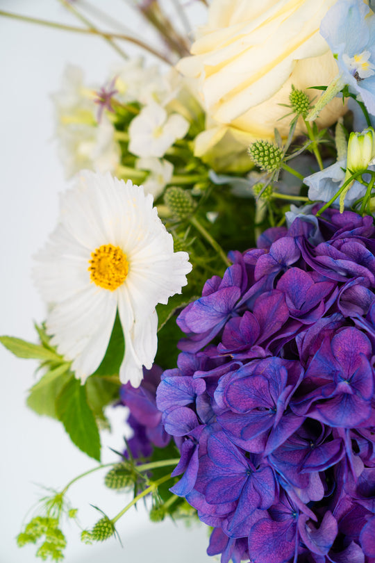 Frischer Blumenstrauß "Blütenfülle" in Weiß-Violett, Blumen Bahlmann München