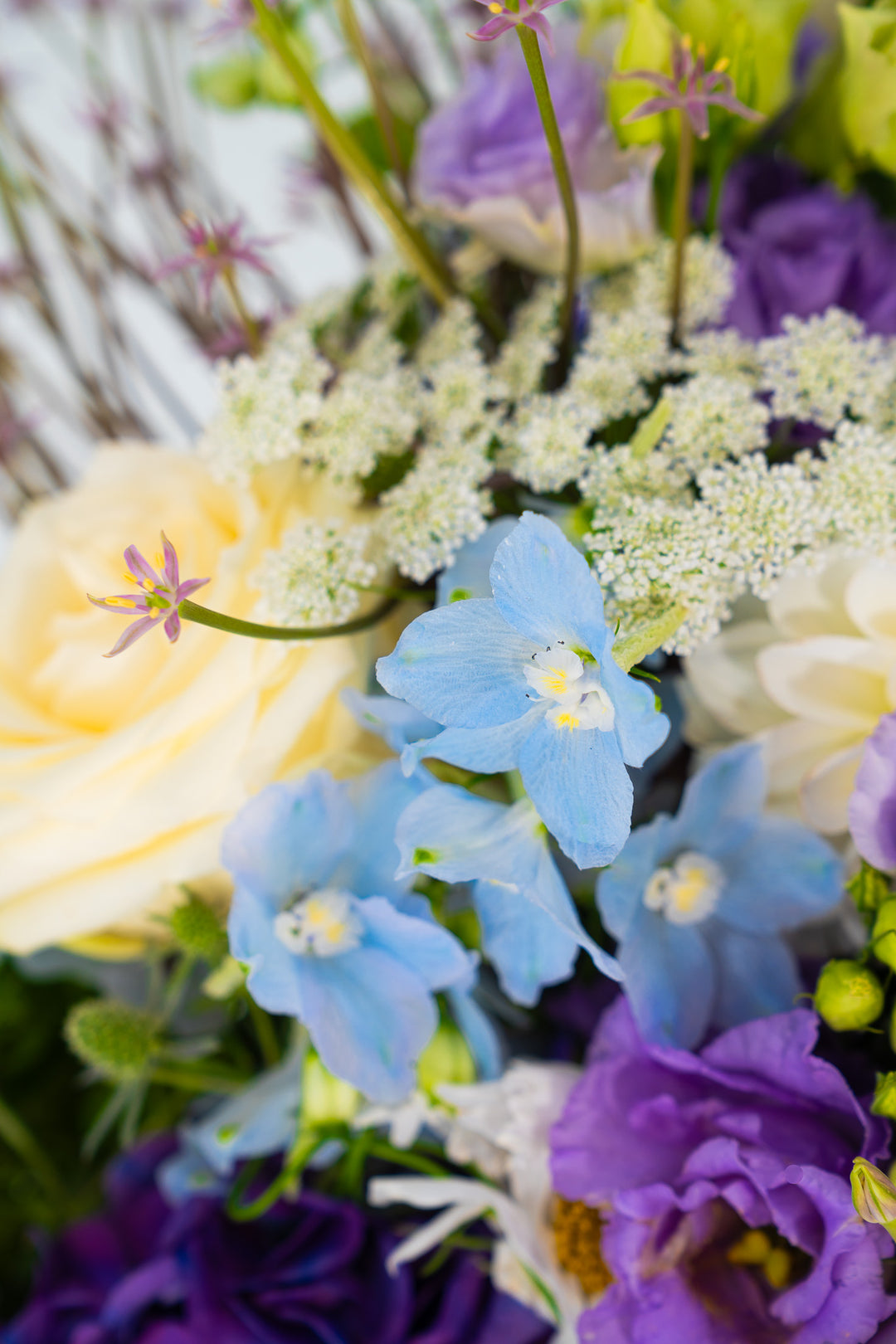 Blumenstrauß "Blütenfülle" mit üppiger Blütenkomposition – Blumen Bahlmann München