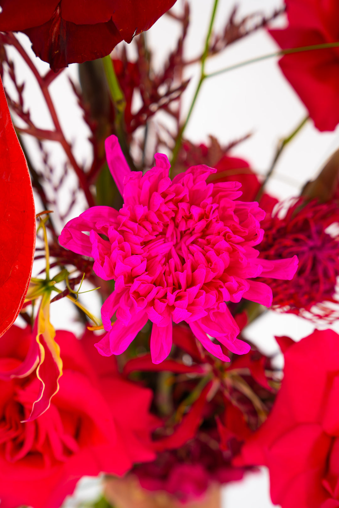 Detailaufnahme einer pinken Blume im Bahlmann Blumenstrauß "Dancing Flowers"