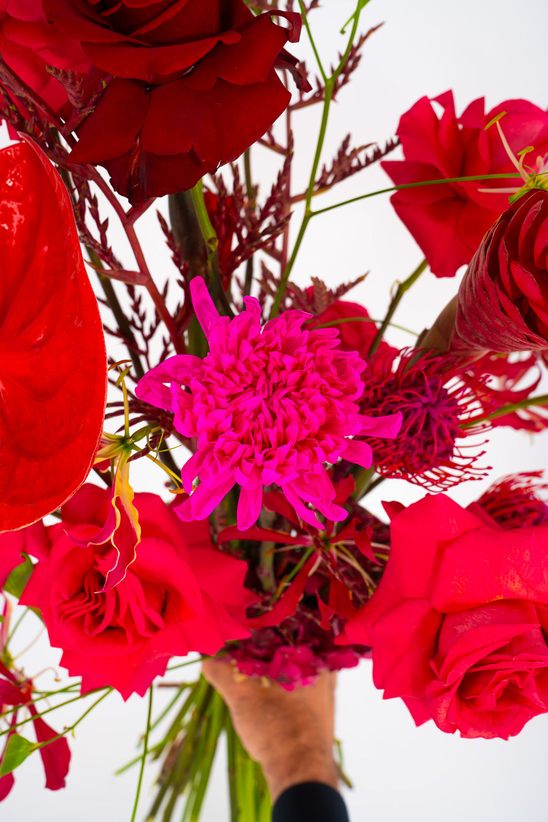 Detailaufnahme einer pinken Blume und roten Rosen im handgebundenen Bahlmann Blumenstrauß "Dancing Flowers"