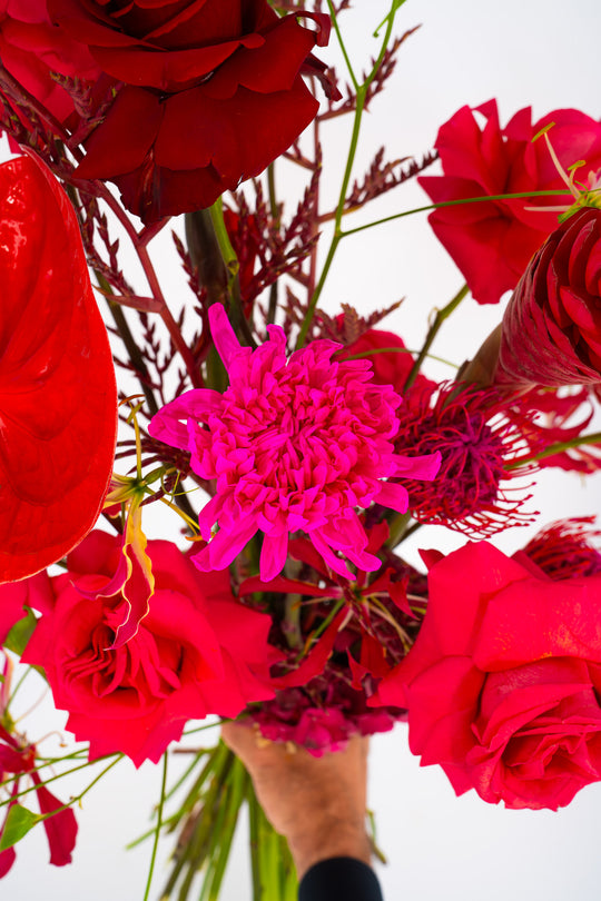 Detailaufnahme einer pinken Blume und roten Rosen im handgebundenen Bahlmann Blumenstrauß "Dancing Flowers"