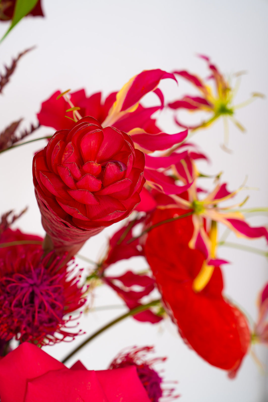 Detailaufnahme einer roten Ingwerblüte im Bahlmann Blumenstrauß "Dancing Flowers" in der Blumenbinderei Bahlmann in München.