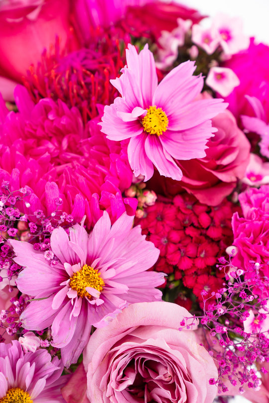 Blumenstrauß "Flower-Bomb" mit intensiven Pinktönen, Blumen Bahlmann München