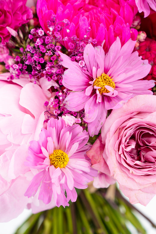 Blumenstrauß "Flower-Bomb" Detailansicht – Floristik Blumen Bahlmann München