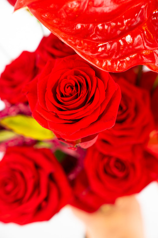 Detailaufnahme einer roten Rosen des handgebundenen Blumenstrauß "Love Cloud" von Blumen Bahlmann München