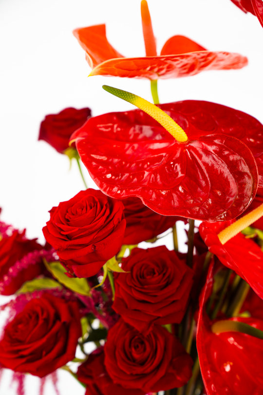 Detailaufnahme von roten Rosen und einer roten Anthurie des handgebundenen Blumenstraußes "Love Cloud" von der Blumenbinderei Bahlmann in München
