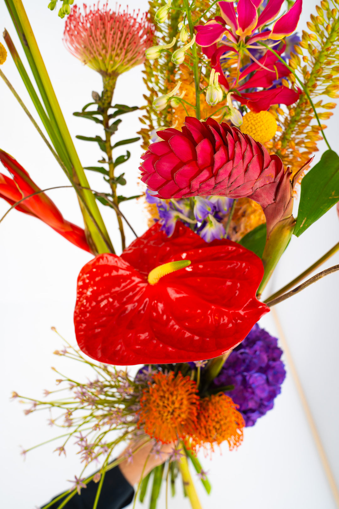 Blumenstrauß "Tropical Fire" mit exotischen Blüten wie roten Anthurien, Ingwerblüten und Nadelkissen – Floristik Blumen Bahlmann München
