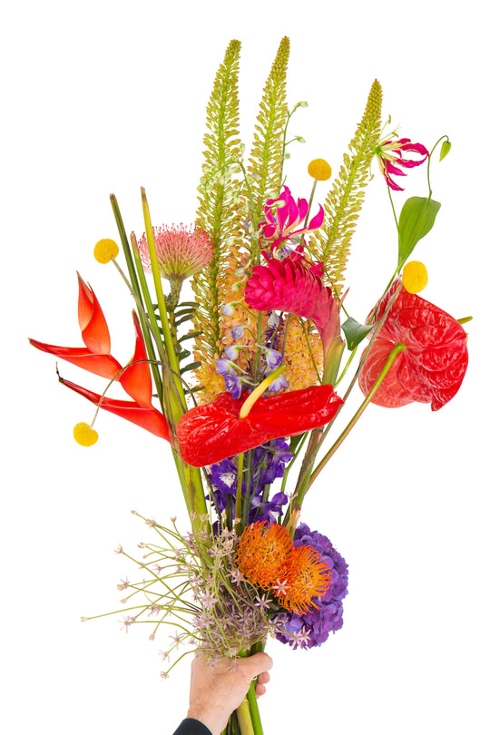 Blumenstrauß "Tropical Fire" mit Strelitzien, roten Anthurien, roten Ingwerblüten, lila Hortensien und Nadelkissen, Floristik Blumen Bahlmann München