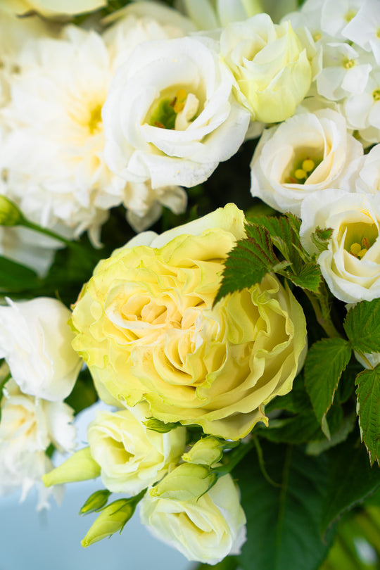 Detailansicht einer gelben Blume des Blumenstraußes Weiße Pracht, von Blumen Bahlmann in München.