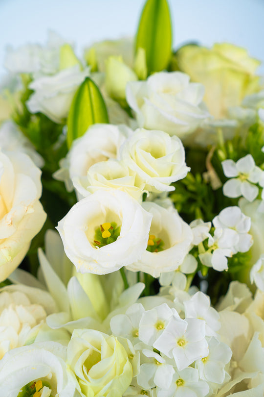 Blumenstrauß "Weiße Pracht" in Nahaufnahme – Blumen Bahlmann München