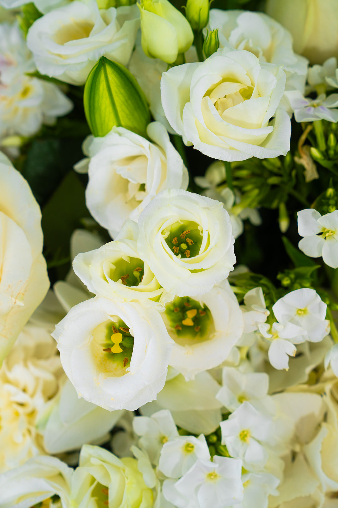 Handgebundener weißer Blumenstrauß "Weiße Pracht", Blumen Bahlmann München