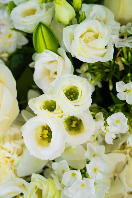 Handgebundener weißer Blumenstrauß "Weiße Pracht", Blumen Bahlmann München