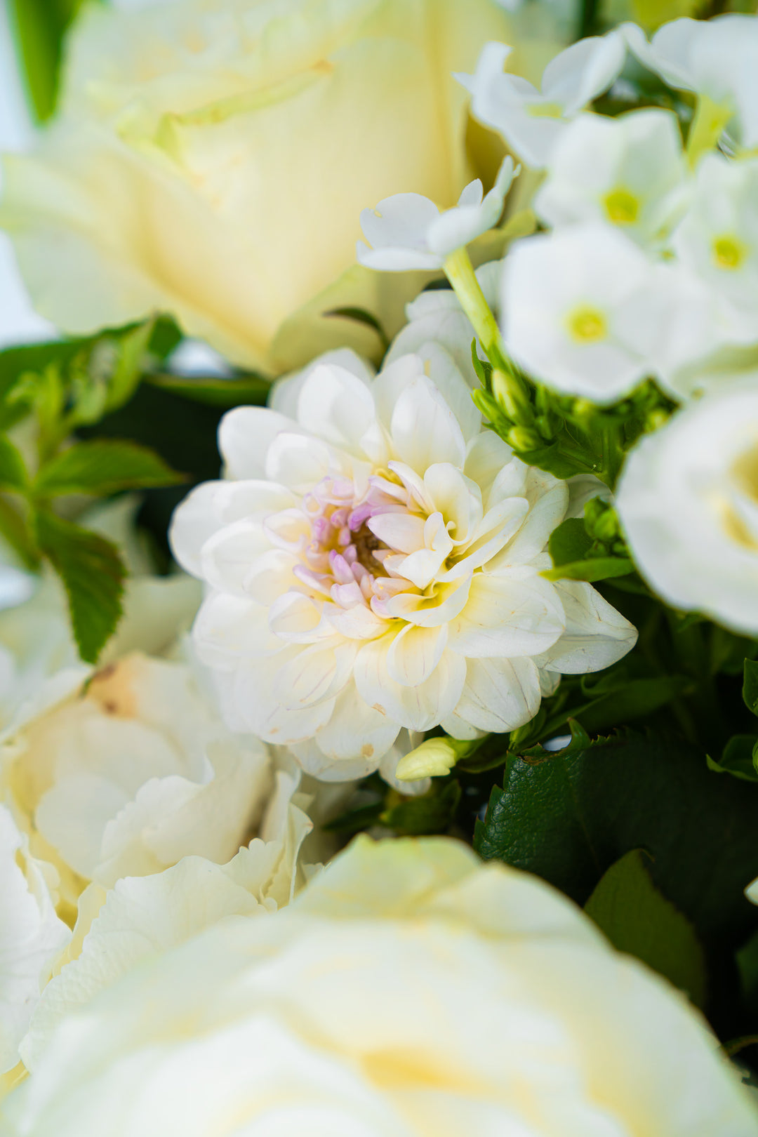 Blumenstrauß "Weiße Pracht" mit weißen Blüten – Floristik Blumen Bahlmann München