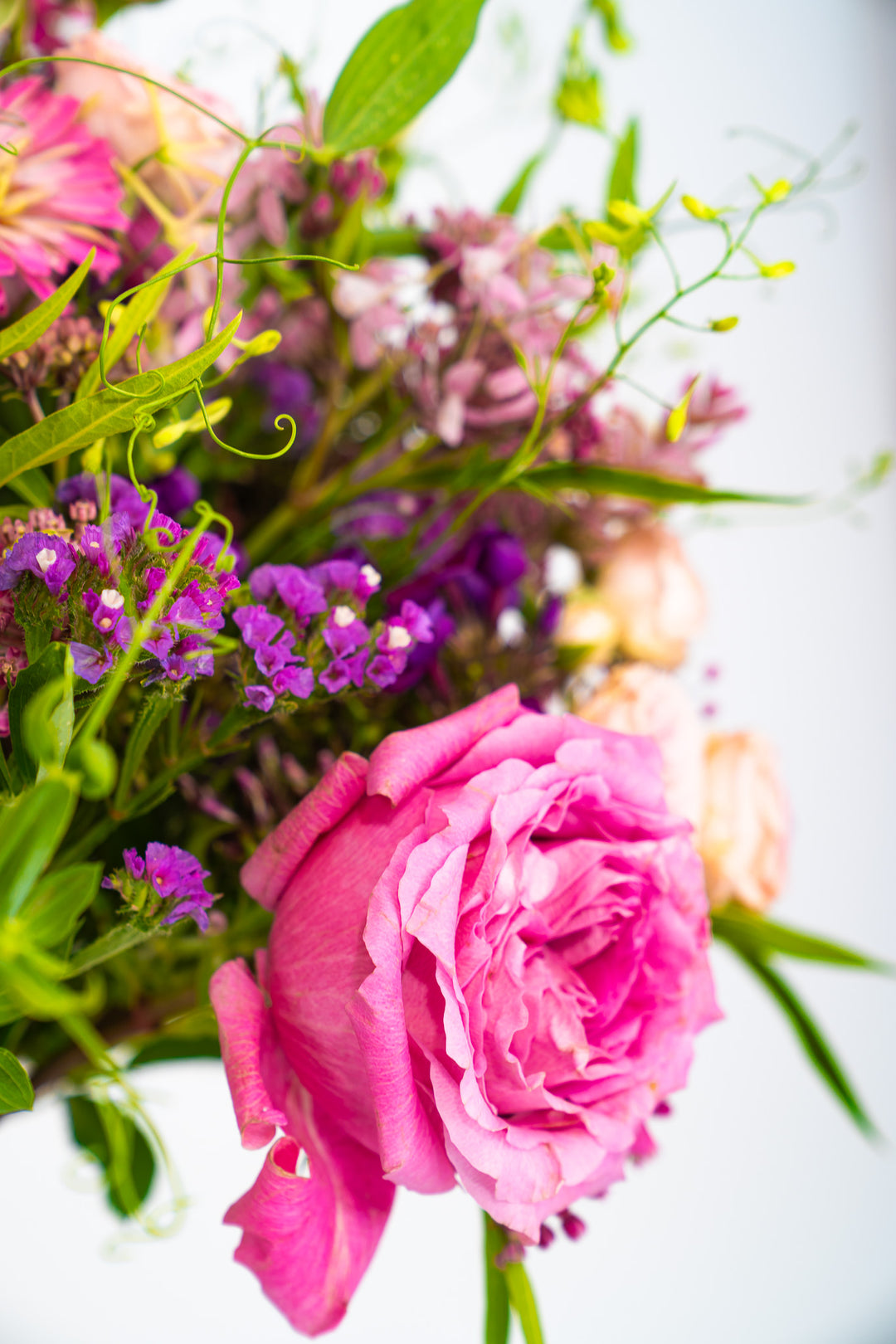 Detailansicht einer pinkfarbenen Rose des Blumenstraußes Pink Cloud.