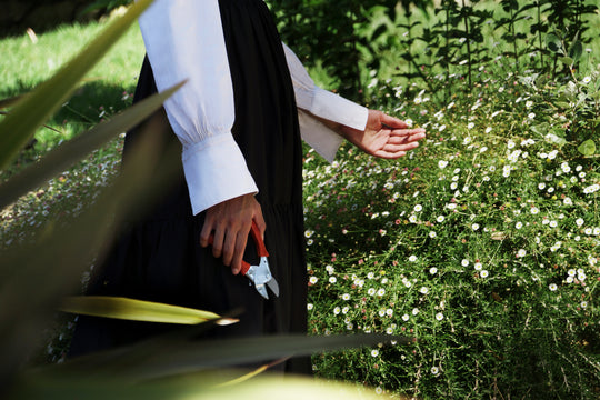 Hochwertige Chop Chop Bloom Gartenschere. Perfekt um Ihren Garten aufzuwerten und ein echtes "must have" für die Frühlingszeit. Blumen Bahlmann München